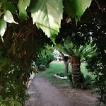 Acchiappasogni 4* Porto San Paolo (Sardinia)