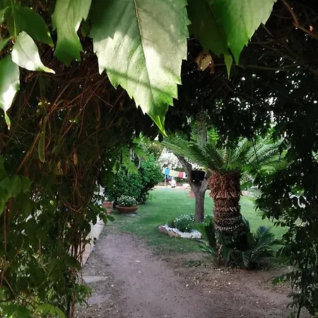 Acchiappasogni * Porto San Paolo (Sardinia)